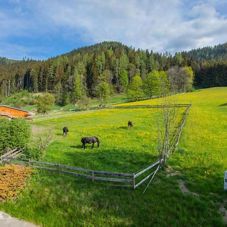 Huberhof 8 By Alpenidyll Apartments Schladming Eksteriør billede