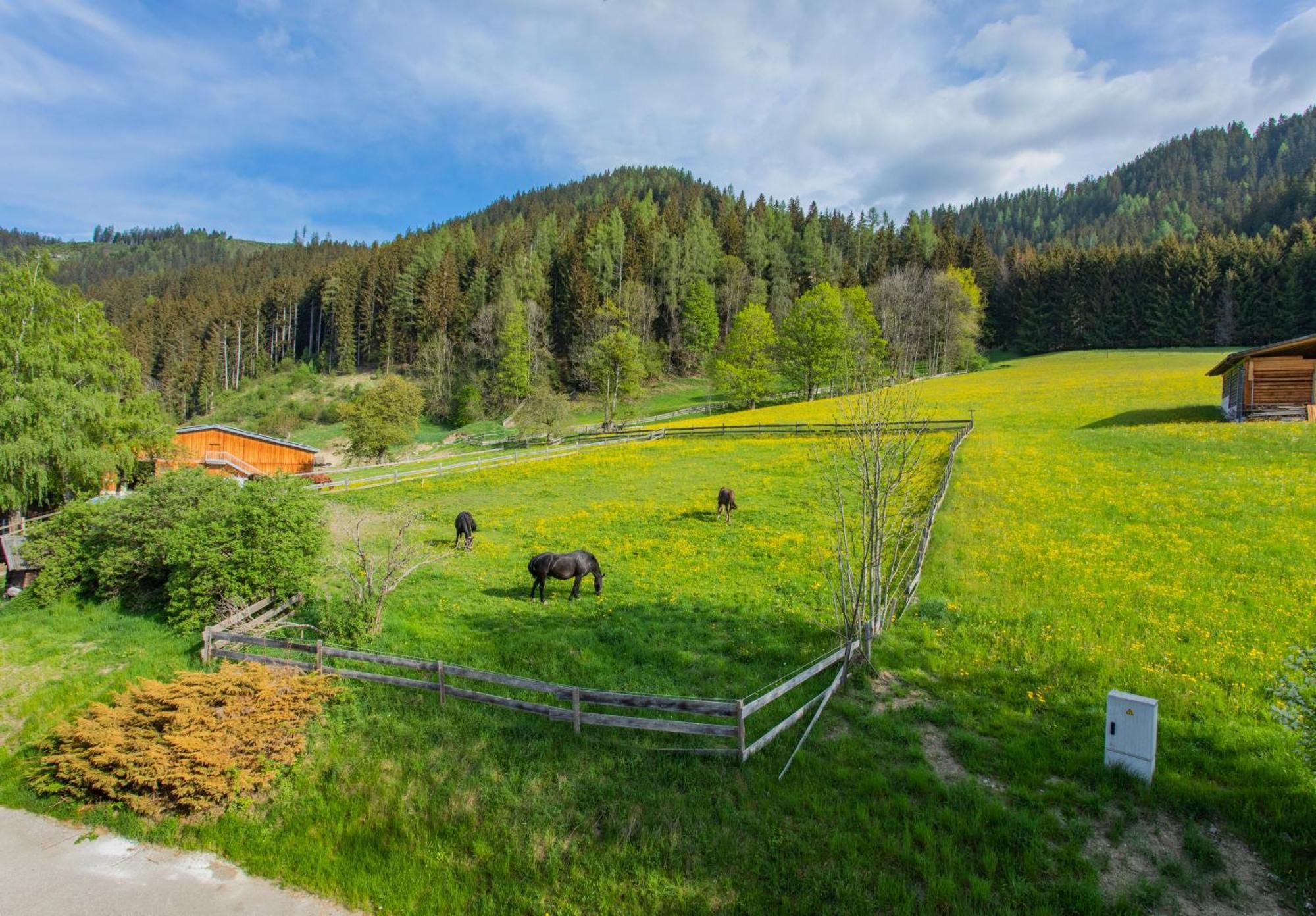 Huberhof 8 By Alpenidyll Apartments Schladming Eksteriør billede